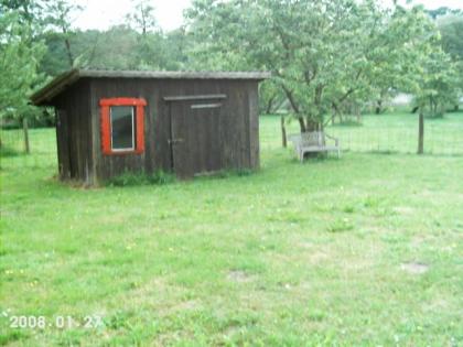 Tierschutzverein sucht Ziegen zwecks Grundstückspflege