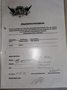 Konigspython abzugeben