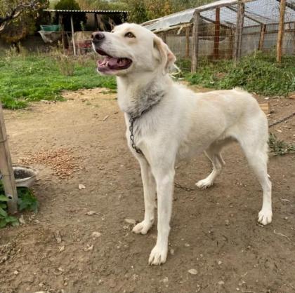Max Rüde 1, 5 Jahre alt