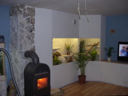 Terrarienbau nach Maß günstiger als Gebraucht