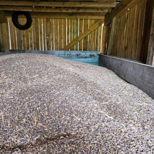Schwarzhafer Pferdefutter