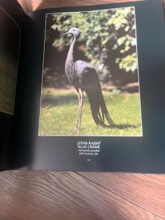 XXL Tierbuch tieratlas