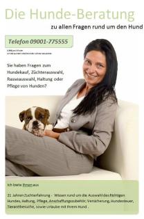 Hundehebamme, Geburtshilfe-Hund, Zuchthelfer, Züchter-Hotline, TEL 09001-775555