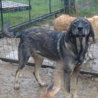 Nala - wird mal ein grosses Maedchen