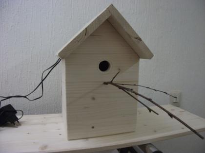 Nistkasten mit Kamera