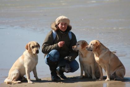 Tierpsychologische Hundeschule Marschall