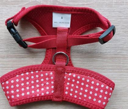 Hundegeschirr für kleine Hunde, Neuwertig