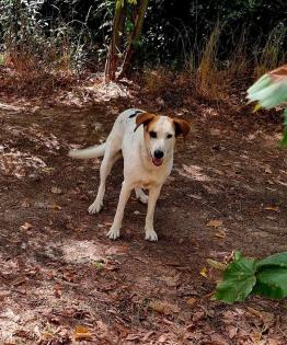 Jewel sucht ein passendes Zuhause