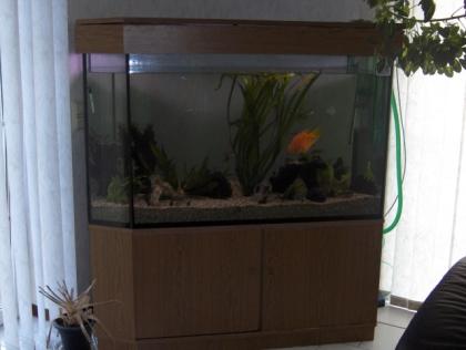 Komplettes 650 Liter Aquarium