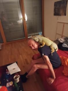 Reptilien-kleinanzeigen. net