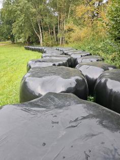Heulage, Silo, Heu, Futter, Pferde, Schafe, Ziegen, Rinder