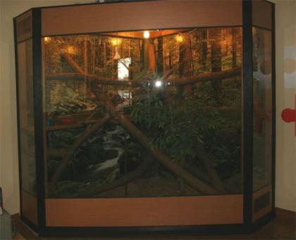 Terrarium groß