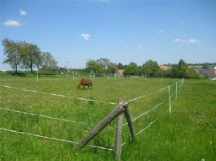 Boxen und Offenstall in Bissingen / Leiheim hat noch Plätze frei