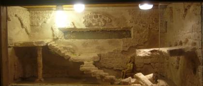 3D Terrariumrückwand Alle Größen PREISVORSCHLAG