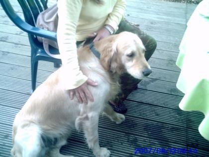 NOTFALL Ich bins . Jake