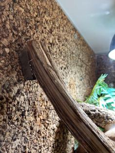 Asthalter / Voliere / Terrarium