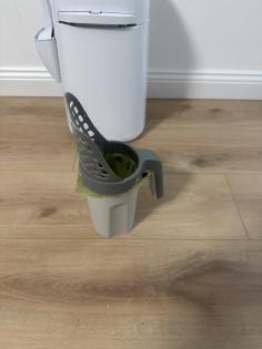 Bengalen mit kompletter Ausstattung