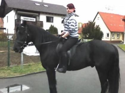 Suche Reitbeteiligung
