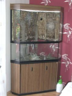 Eckterrarium / Palludarium H175xB107xT68 cm