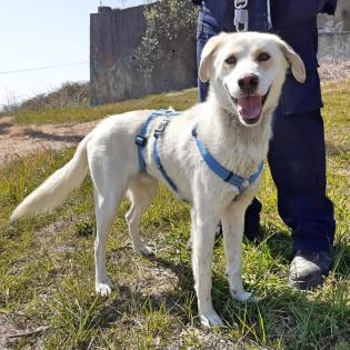 Max Rüde 1, 5 Jahre alt