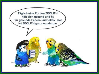 Zeolith-Klinoptilolith Mineralpulver und Bentonit Tonerde günstig kaufen