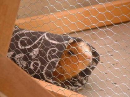 Schöne selbstgenähte Kuschelrollen