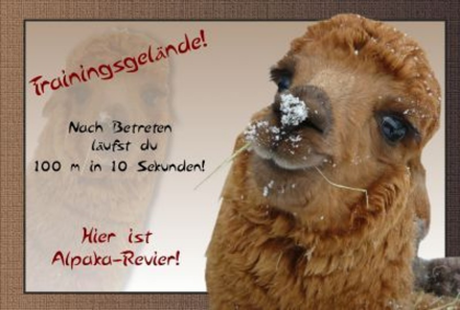 Alpaka und Lamafreunde - Warnschilder aus Euren Lieblingsfotos Lesezeichen - Co