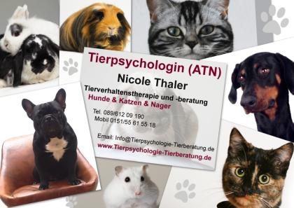 Problemhilfe für Tierbesitzer - Fachrichtung Hunde, Katzen, Nager