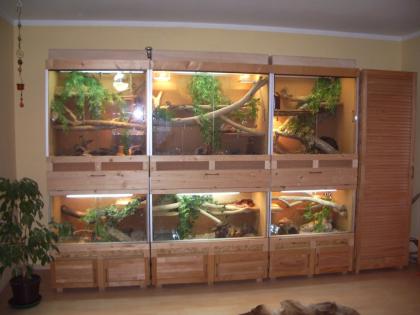 Terrarienwand/Terrarium zu verkaufen