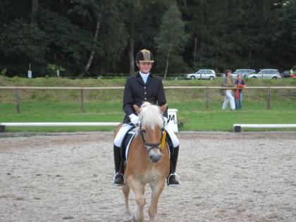 Super Einsteigerpony