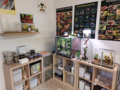Zubehör, Pflanzen, Futtertiere, Terrarien.