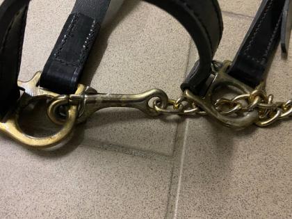 Vorführhalfter Rind Leder Führzügel