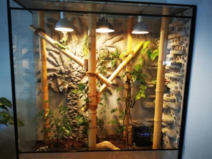 Terrarium