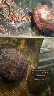 2 wasserschildkröten mit Zubehör