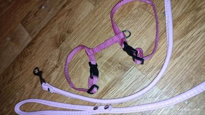 Set Nylon Geschirr Rosa XXXS Leine rosa 128cm schlaufe Leder
