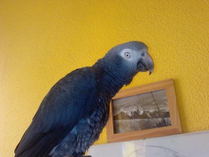 Hallo ich bin CoCo