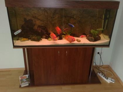 400 liter aqurium mit fische und elektr. geräte