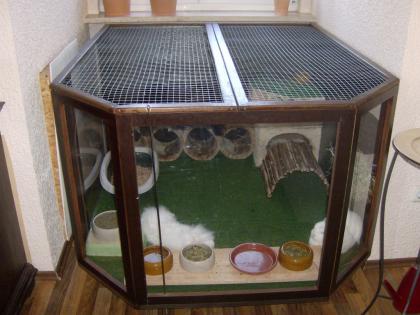 2 Kaninchen mit Kaefig und kompl Zubehoer