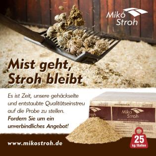 Pferdeeinstreu aus Weizenstroh