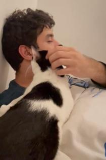Snoopy Kater mit Charakter Charme sucht Traumzuhause