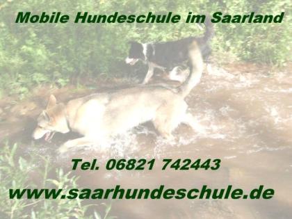 LesLoups - Hundeschule im Saarland