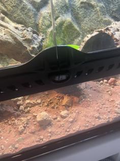 Exo Terra Terrarium Komplett ausgestattet