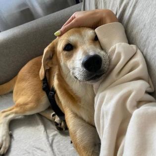 Missy - hat bereits ein gesundes Selbstbewusstsein