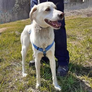 Max Rüde 1, 5 Jahre alt