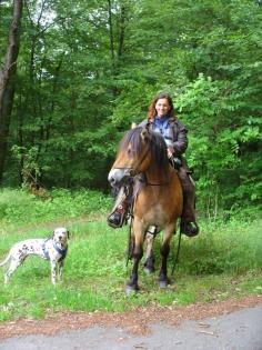Wanderreiten mit Henrike in Westerwald, Eifel, Hunsrück, Pfalz