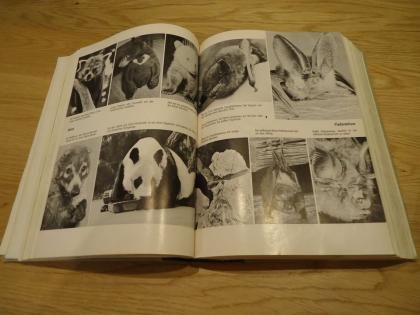 Bertelsmann Das große illustrierte Tierbuch alt