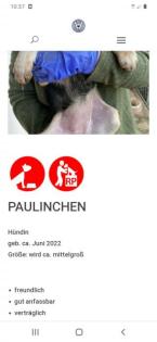 Wem dürfen wir treu zur Seite stehen