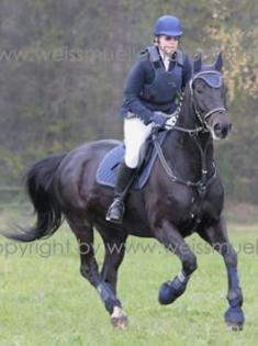 Zuverlässige Reitbeteiligung nach 84533 Haiming gesucht