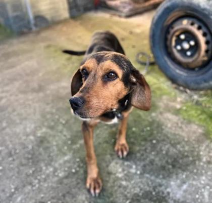 Rani sucht Vertrauen in ihrem Zuhause