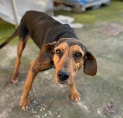 Rani sucht Vertrauen in ihrem Zuhause